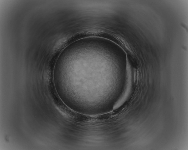 X0000093220736200709261631