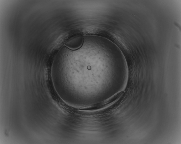 X0000093220738200709261631