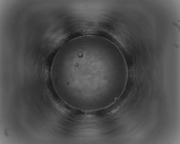 X0000093220741200709261631