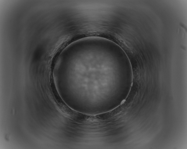 X0000093220742200709261631