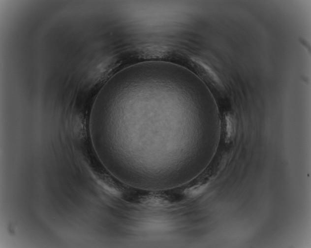 X0000093220743200709261631