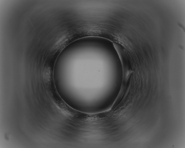 X0000093220744200709261631
