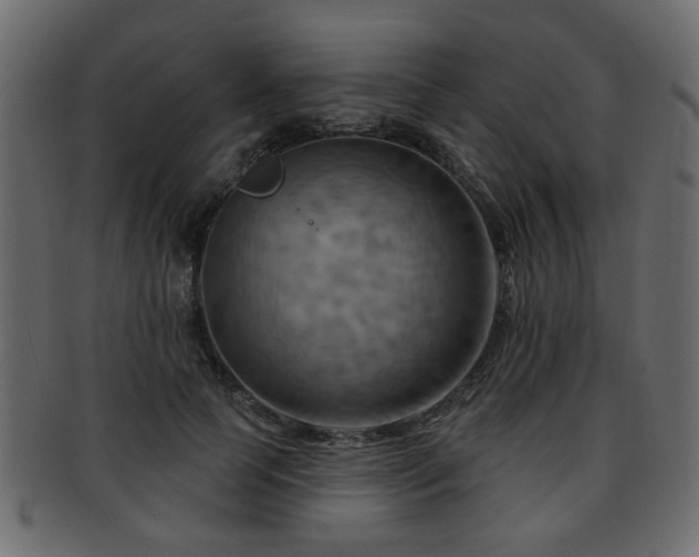 X0000093220745200709261631