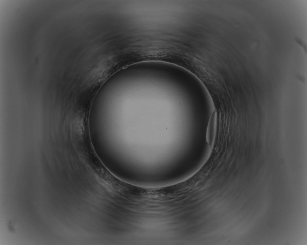 X0000093220746200709261631