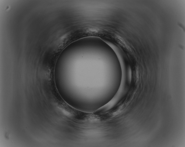 X0000093220750200709261631
