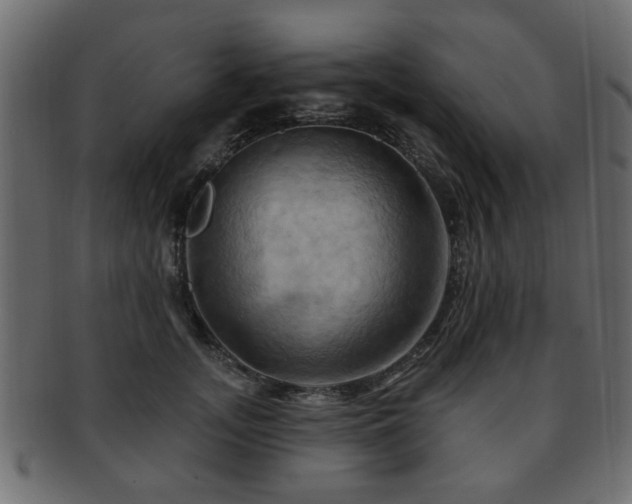 X0000093220755200709261631