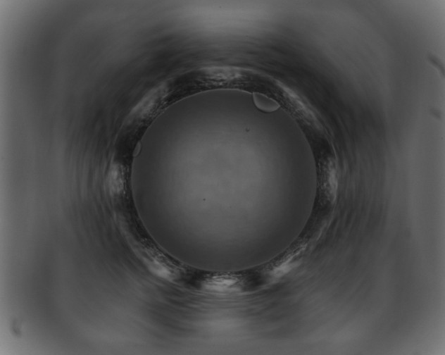 X0000093220758200709261631