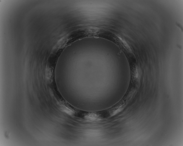 X0000093220759200709261631