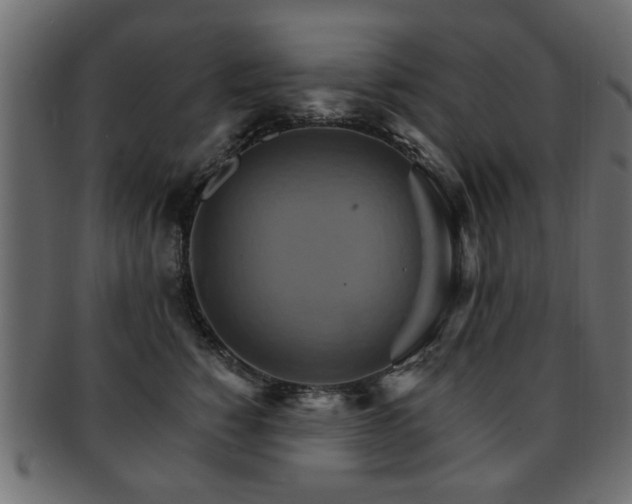 X0000093220760200709261631