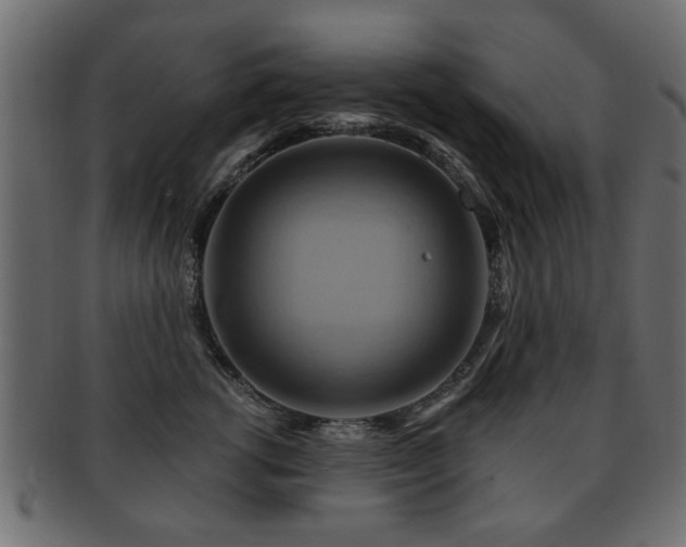 X0000093220762200709261631