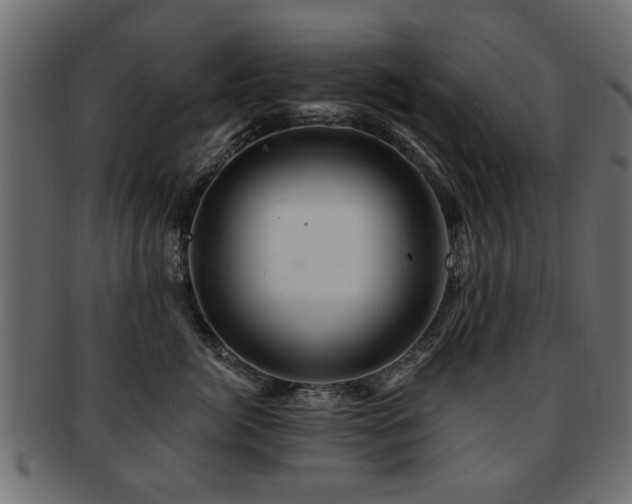 X0000093220764200709261631