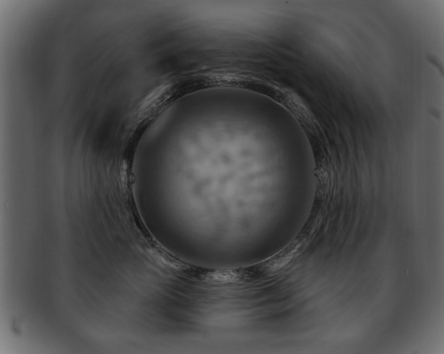 X0000093220765200709261632
