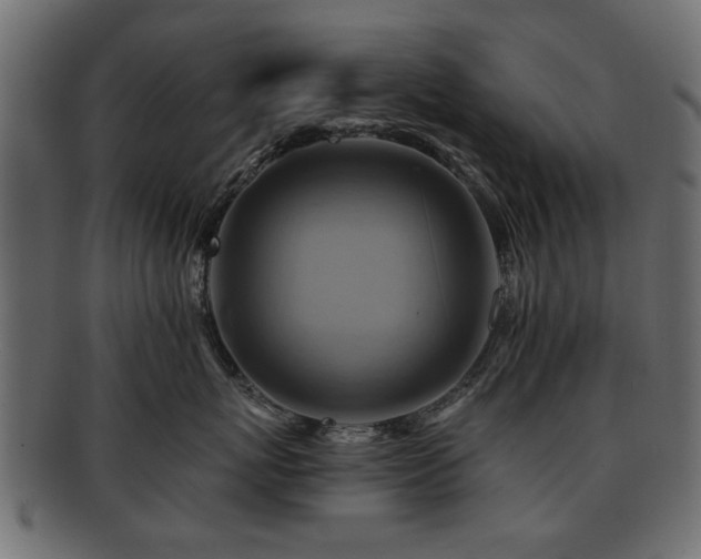 X0000093220767200709261632