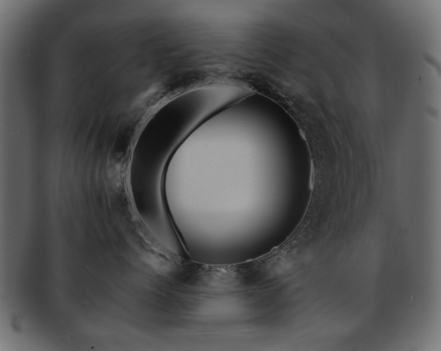 X0000093220768200709261632
