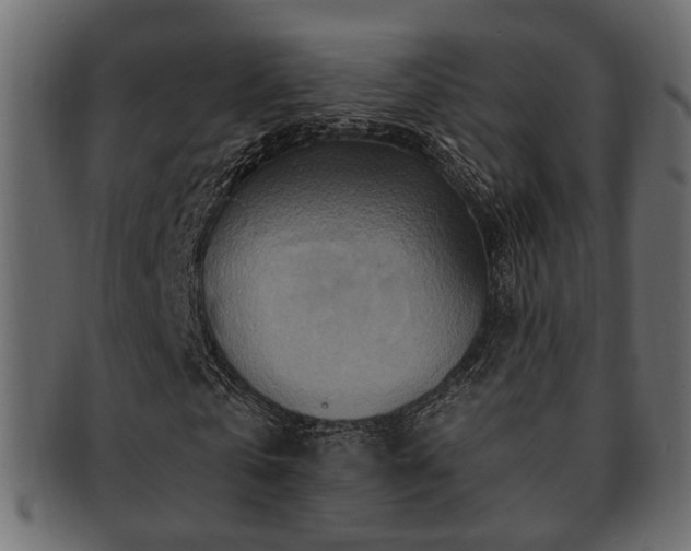 X0000093220769200709261631