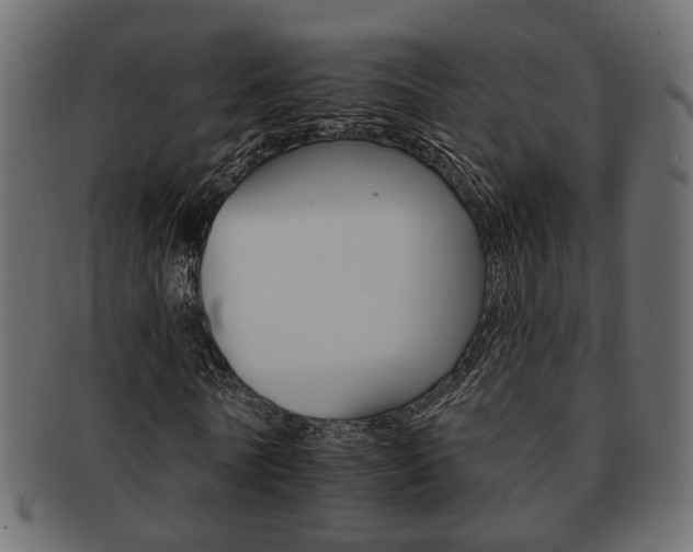X0000093220770200709261631