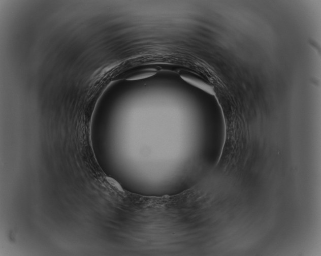 X0000093220773200709261631