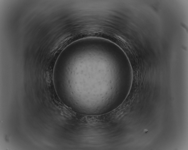 X0000093220774200709261631