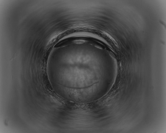 X0000093220775200709261631