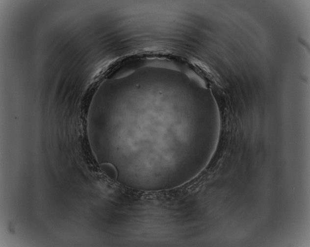 X0000093220776200709261631