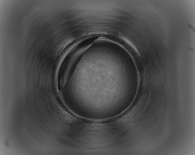 X0000093220777200709261631