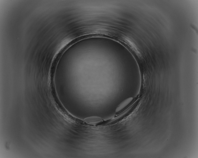 X0000093220780200709261631