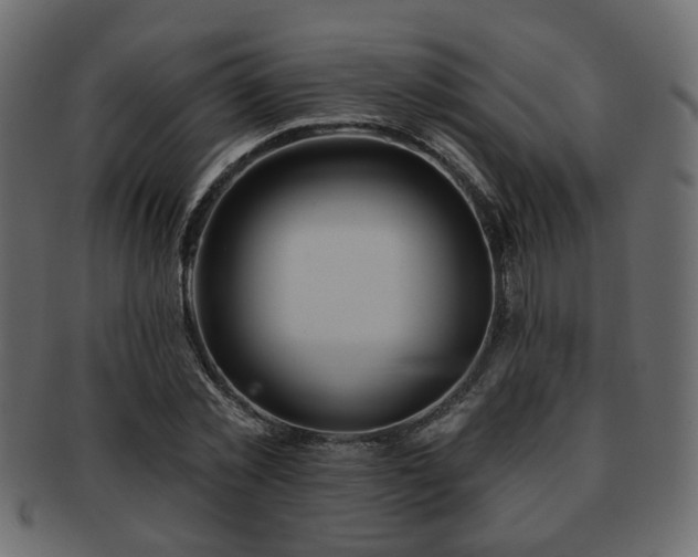 X0000093220781200709261631