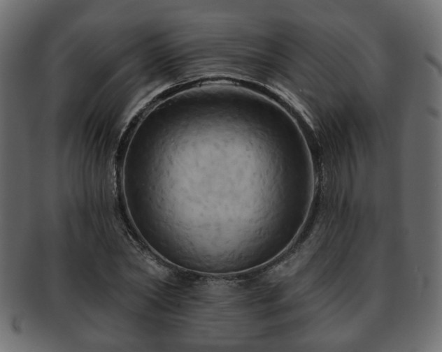 X0000093220782200709261631