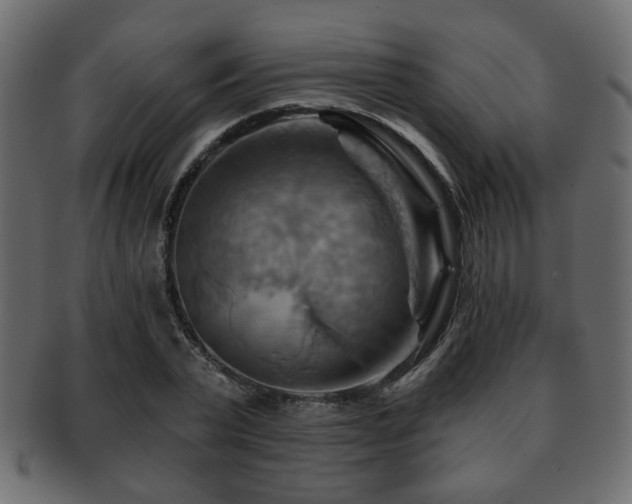 X0000093220783200709261631