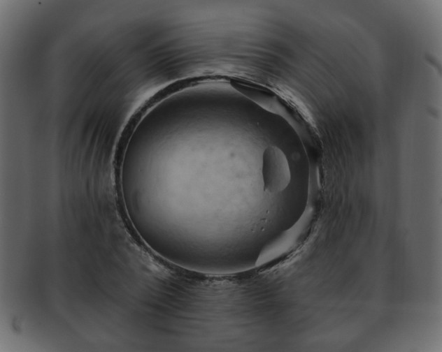 X0000093220784200709261631