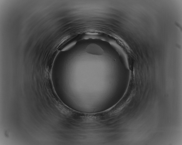 X0000093220785200709261631