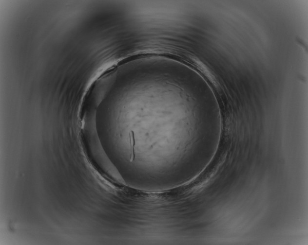 X0000093220787200709261631