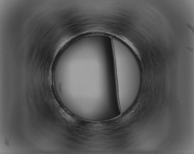X0000093220791200709261631