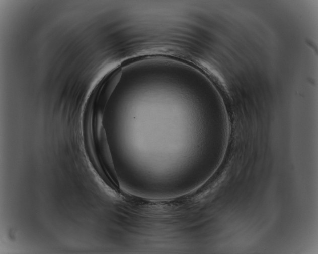 X0000093220792200709261631