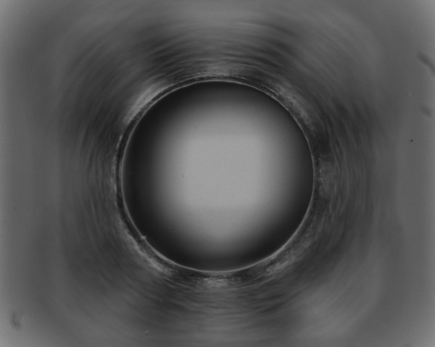 X0000093220794200709261631