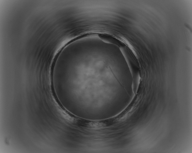 X0000093220795200709261630