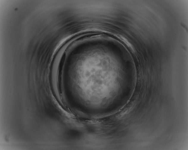 X0000093220799200709261630