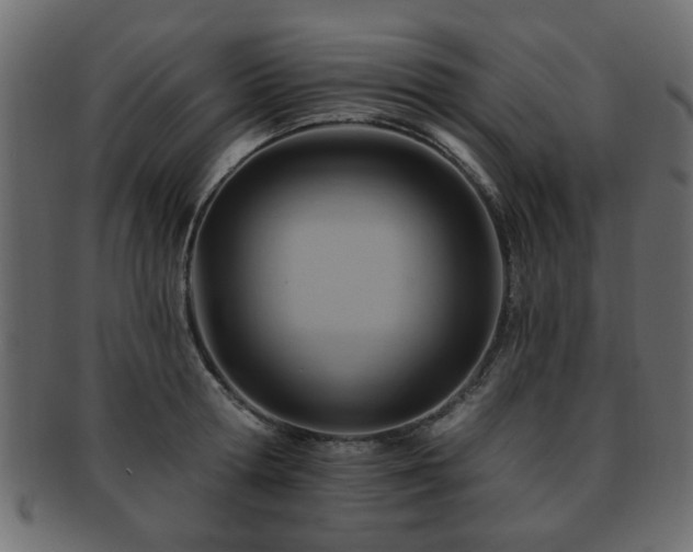 X0000093220802200709261630