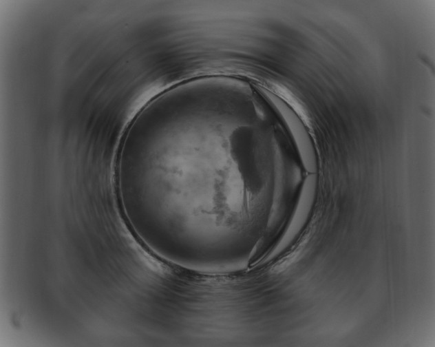 X0000093220803200709261630