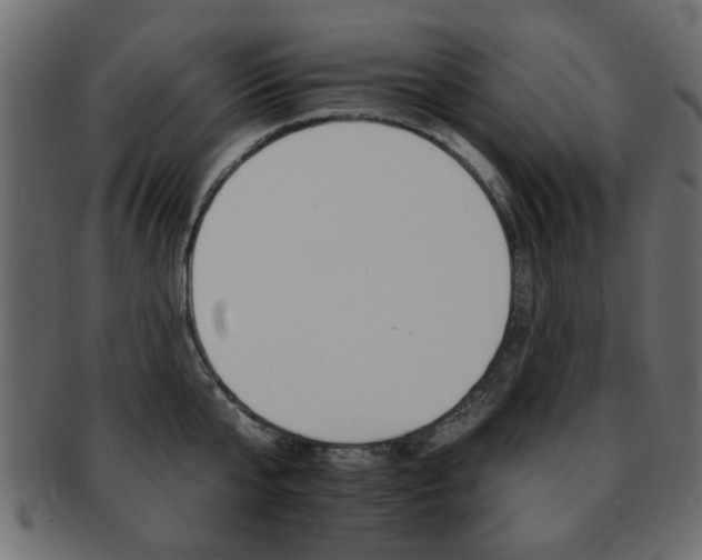 X0000093220807200709261630