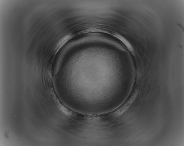 X0000093220809200709261630