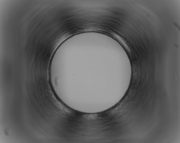 X0000093220810200709261630