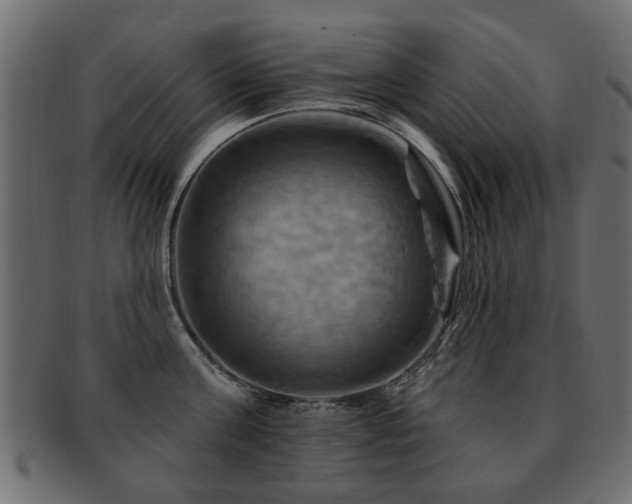 X0000093220811200709261630