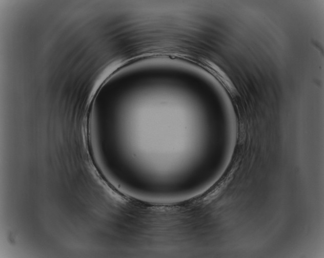 X0000093220812200709261630
