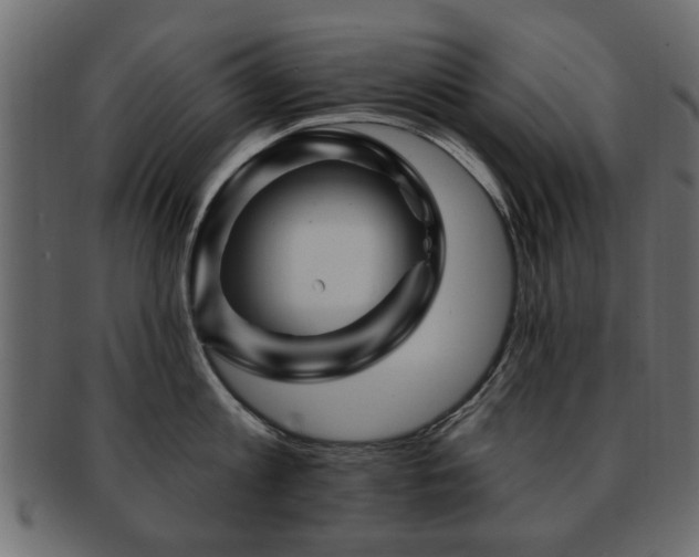 X0000093220813200709261630
