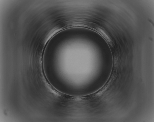 X0000093220814200709261630