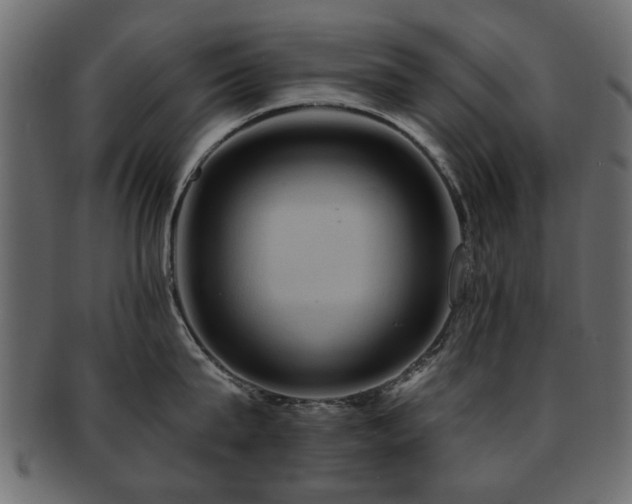 X0000093220815200709261630