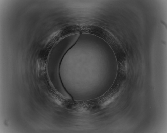 X0000093220818200709261630