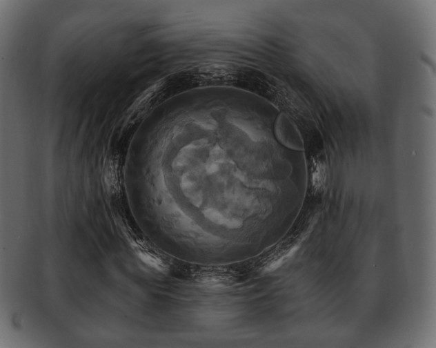 X0000093220819200709261630
