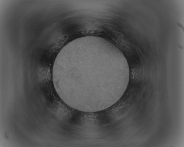 X0000093220820200709261630